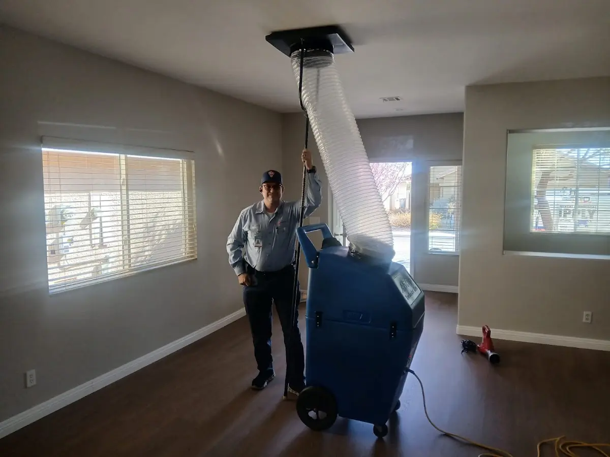 Professional Dryer Vent Cleaning work inside a Daphne home